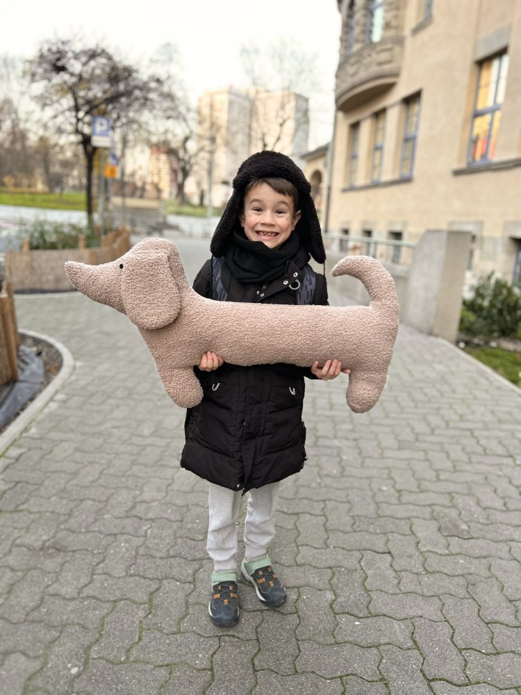 Poduszka jamnik handmade z tkaniny bouclé | Maskotka jamnik